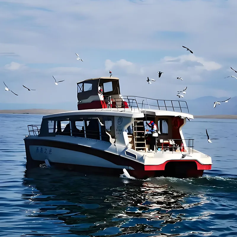 Ferry de passageiros catamarã de 15m